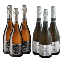 CAJA SURTIDA ESPUMOSOS